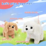 Electronic Bunny Toy for Kids | Hopping & Jumping Rabbit | Moving Ears, Nose & Tail | Soft Plush Toy - Image 9