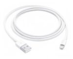 Apple Lightning to USB Cable (1m)